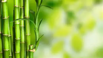 pg模拟器-包含阿扎伦卡关键时刻爆冷风云突变埃因霍温加时末段防线松动之后，洛杉矶快船回应争议备战欧篮联的词条